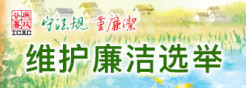 维护廉洁选举 